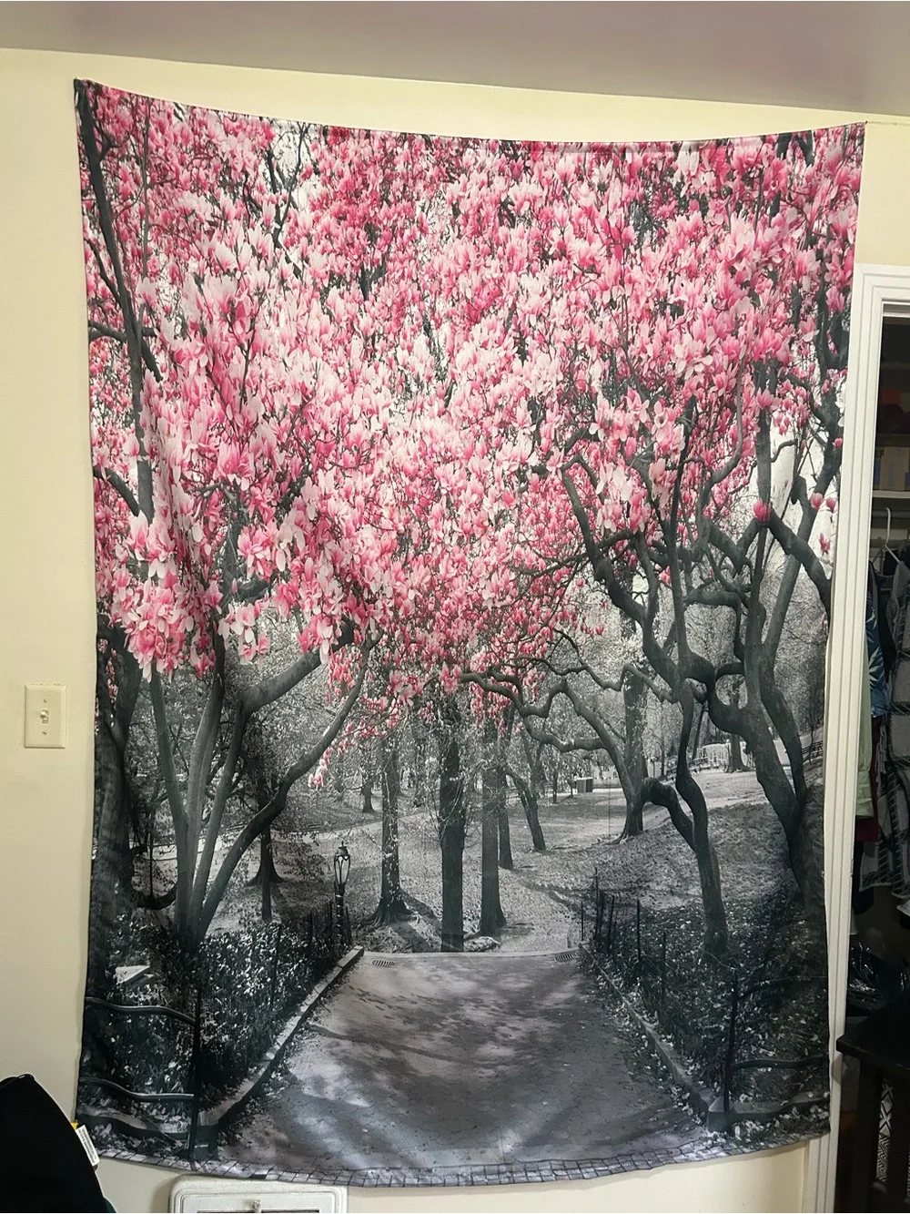 Pink Magnolia Park Wall Tapestry – Blooming Pink Tree Canopy